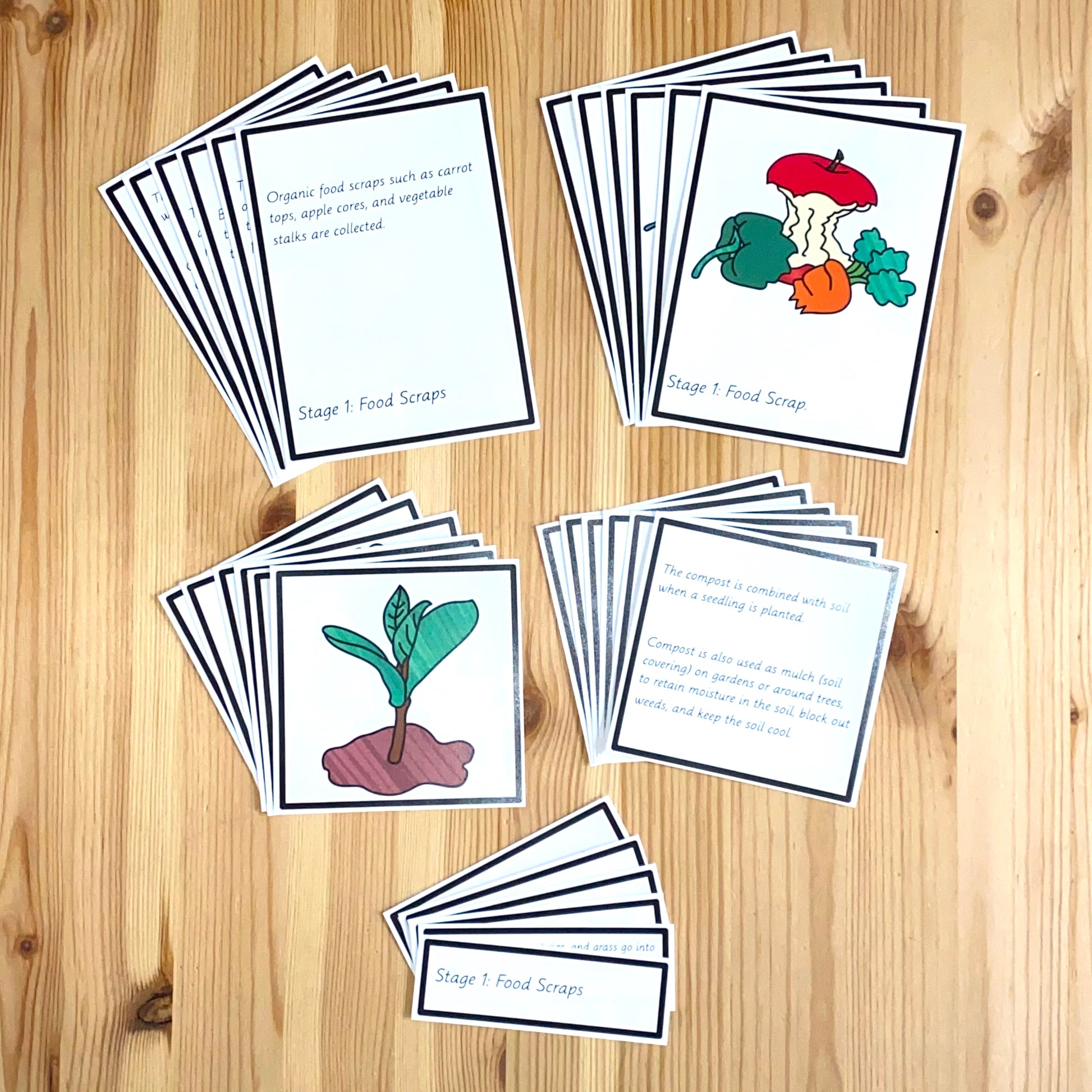 Compost Activities - montessorikiwi