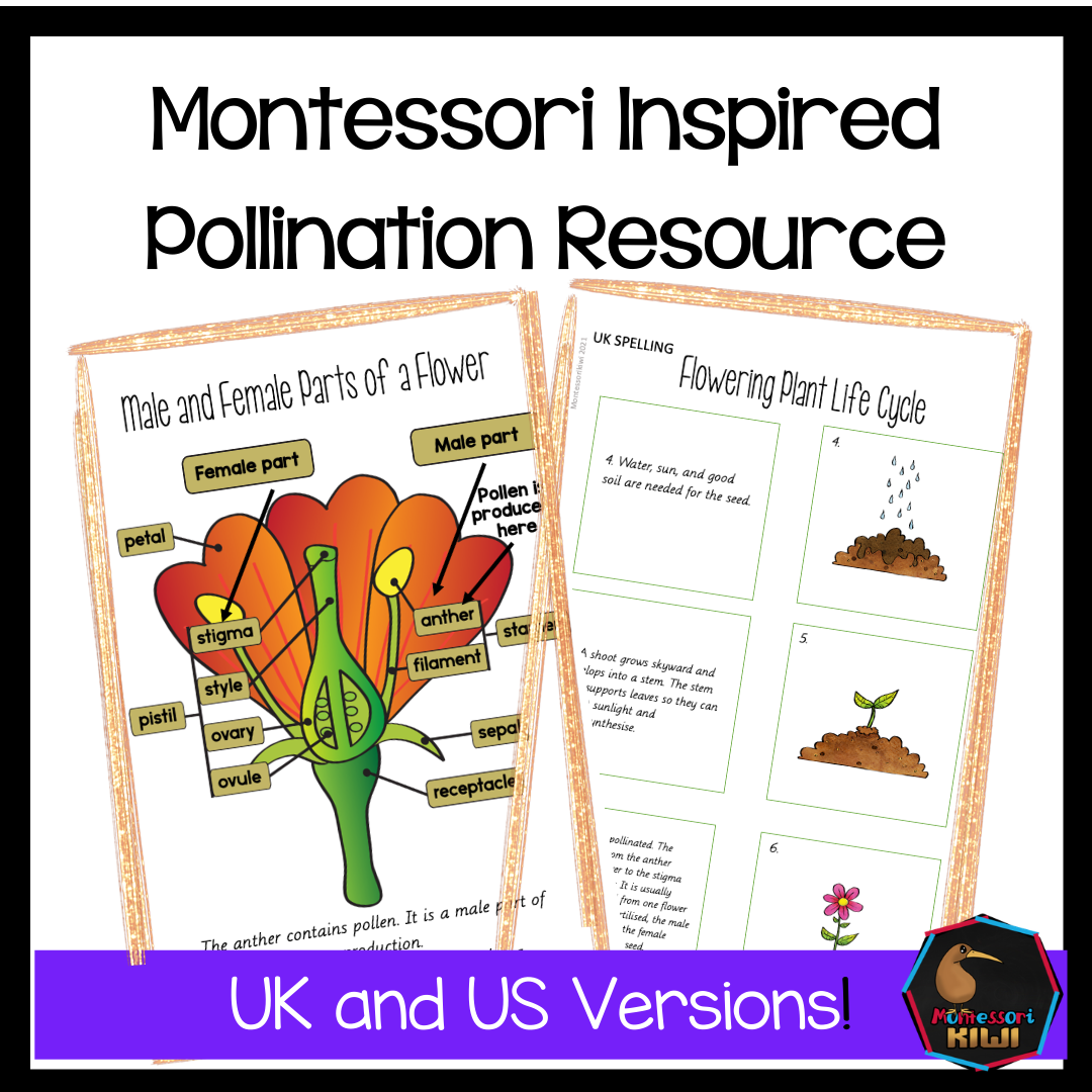 Montessori Inspired Pollination Resource - montessorikiwi