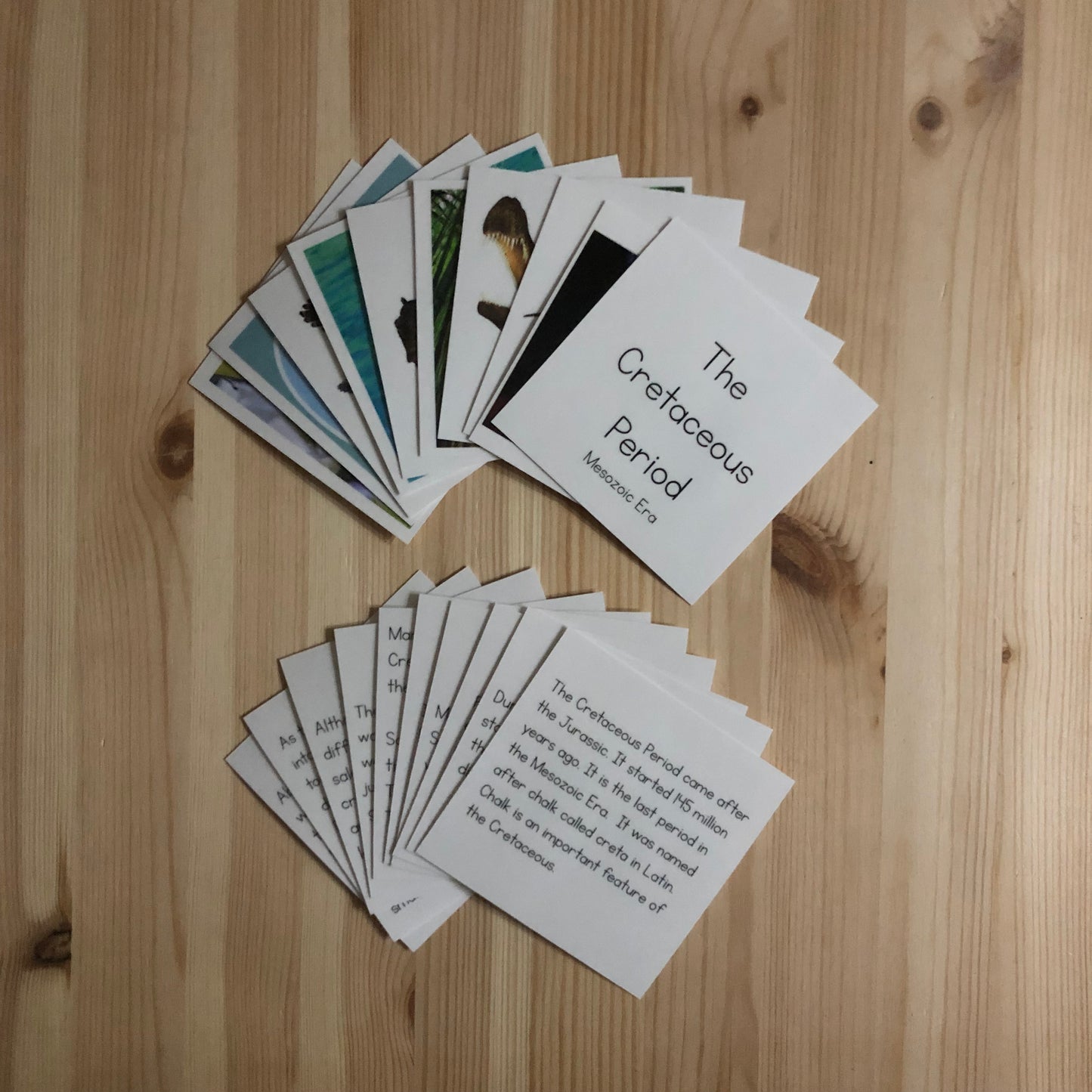 Make a Museum Exhibit: PBL Unit Resources Bundle - montessorikiwi