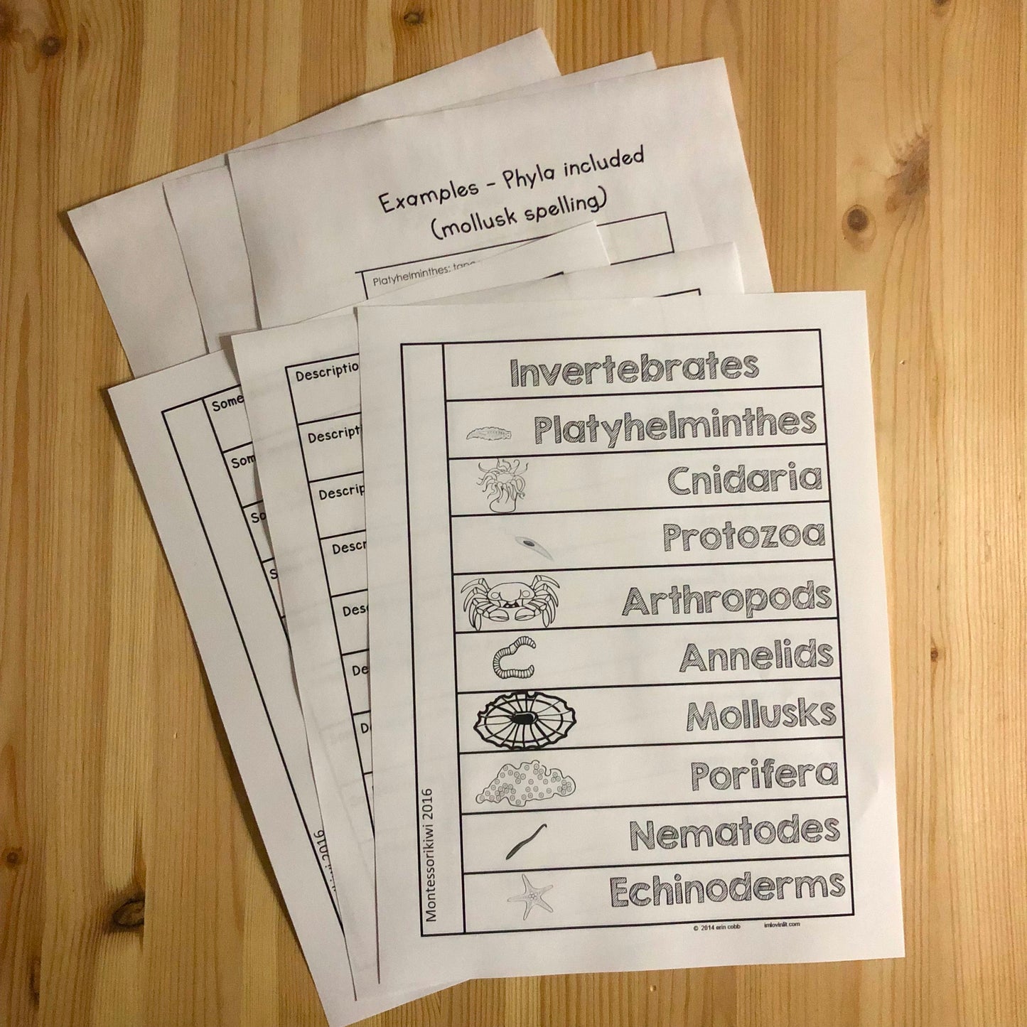 Invertebrate Book - montessorikiwi