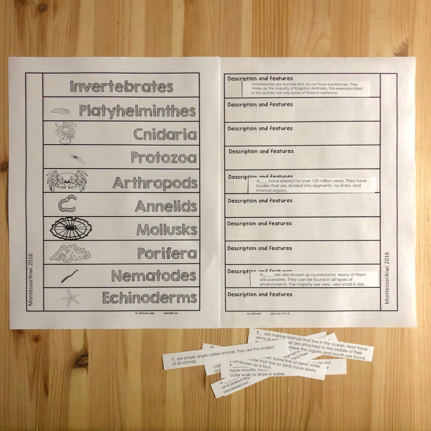 Invertebrate Book - montessorikiwi