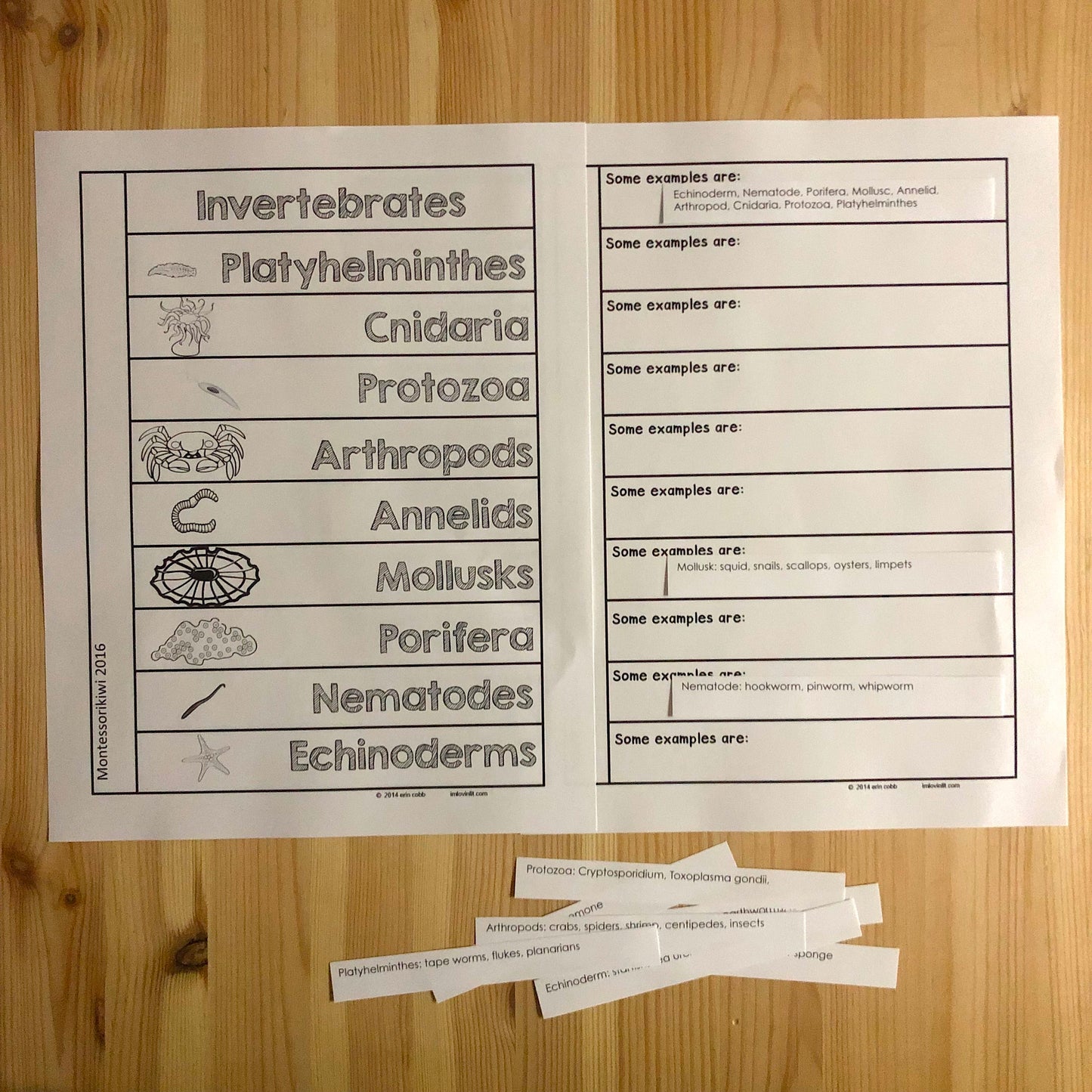 Invertebrate Book - montessorikiwi