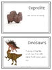 Vocab words for Second Great Story (cosmic) - montessorikiwi