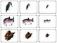 Big, middle, small themed math sorting bundle - montessorikiwi