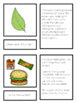 Photosynthesis Montessori Inspired activity - montessorikiwi