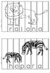 Maori Animal Activity pack - montessorikiwi