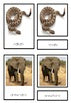 Maori Animal Activity pack - montessorikiwi