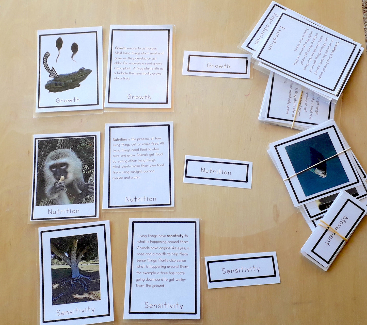 MRS GREN what makes something a living organism? - montessorikiwi