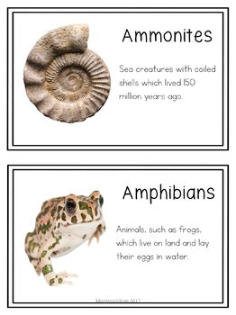 Vocab words for Second Great Story (cosmic) - montessorikiwi