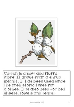 Plants and their products - montessorikiwi