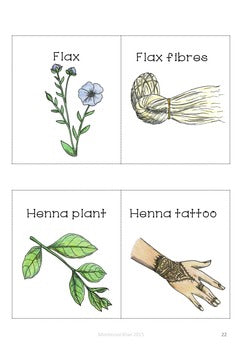 Plants and their products - montessorikiwi