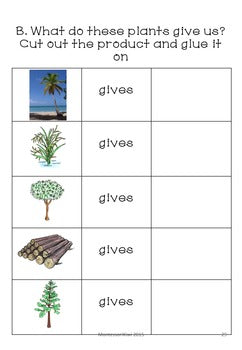 Plants and their products - montessorikiwi