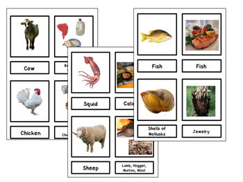 Plants and animals uses and resources bundle - montessorikiwi