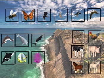 Air Land Water Montessori sorting (animals) - montessorikiwi