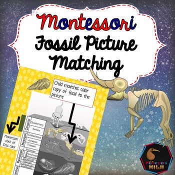 Fossils of Different Eras (cosmic) - montessorikiwi