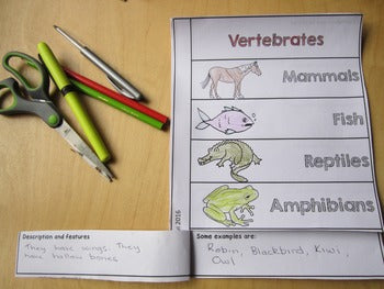 Vertebrate Book - montessorikiwi