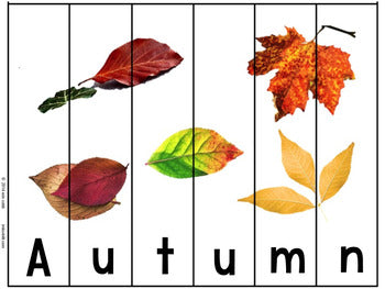 Season Puzzles for Preschool children - montessorikiwi