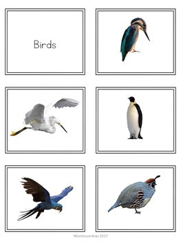Vertebrate Sorting Activity - montessorikiwi