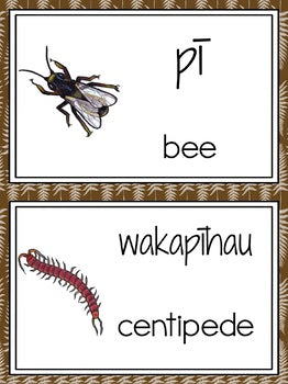NZ invertebrate word wall - montessorikiwi