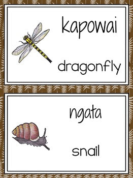NZ invertebrate word wall - montessorikiwi