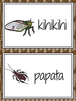 NZ invertebrate word wall - montessorikiwi