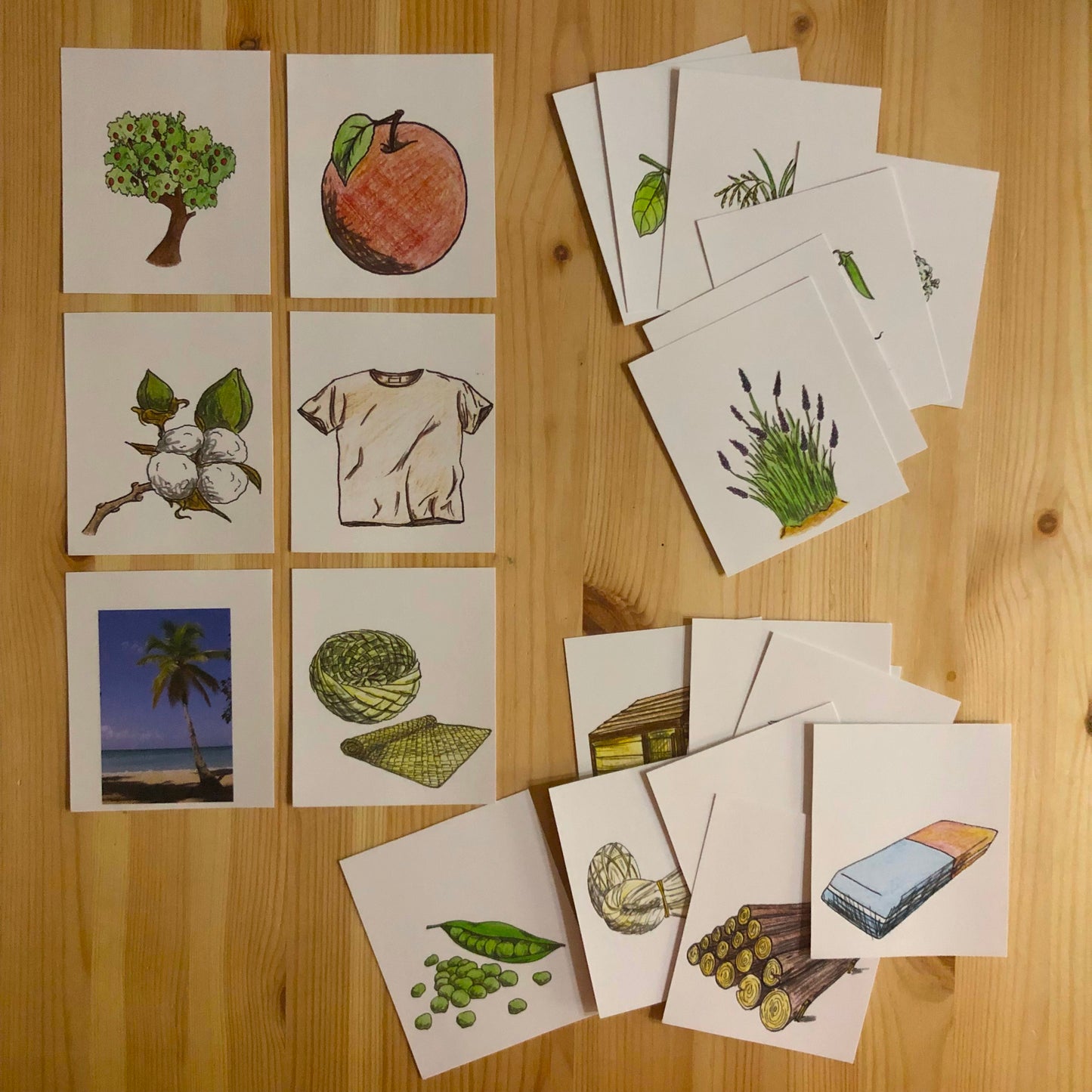 Plants and animals uses and resources bundle - montessorikiwi