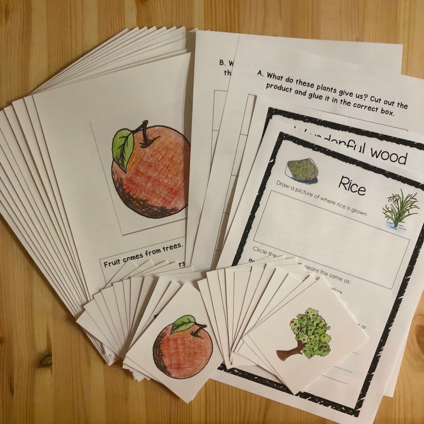 Plants and animals uses and resources bundle - montessorikiwi