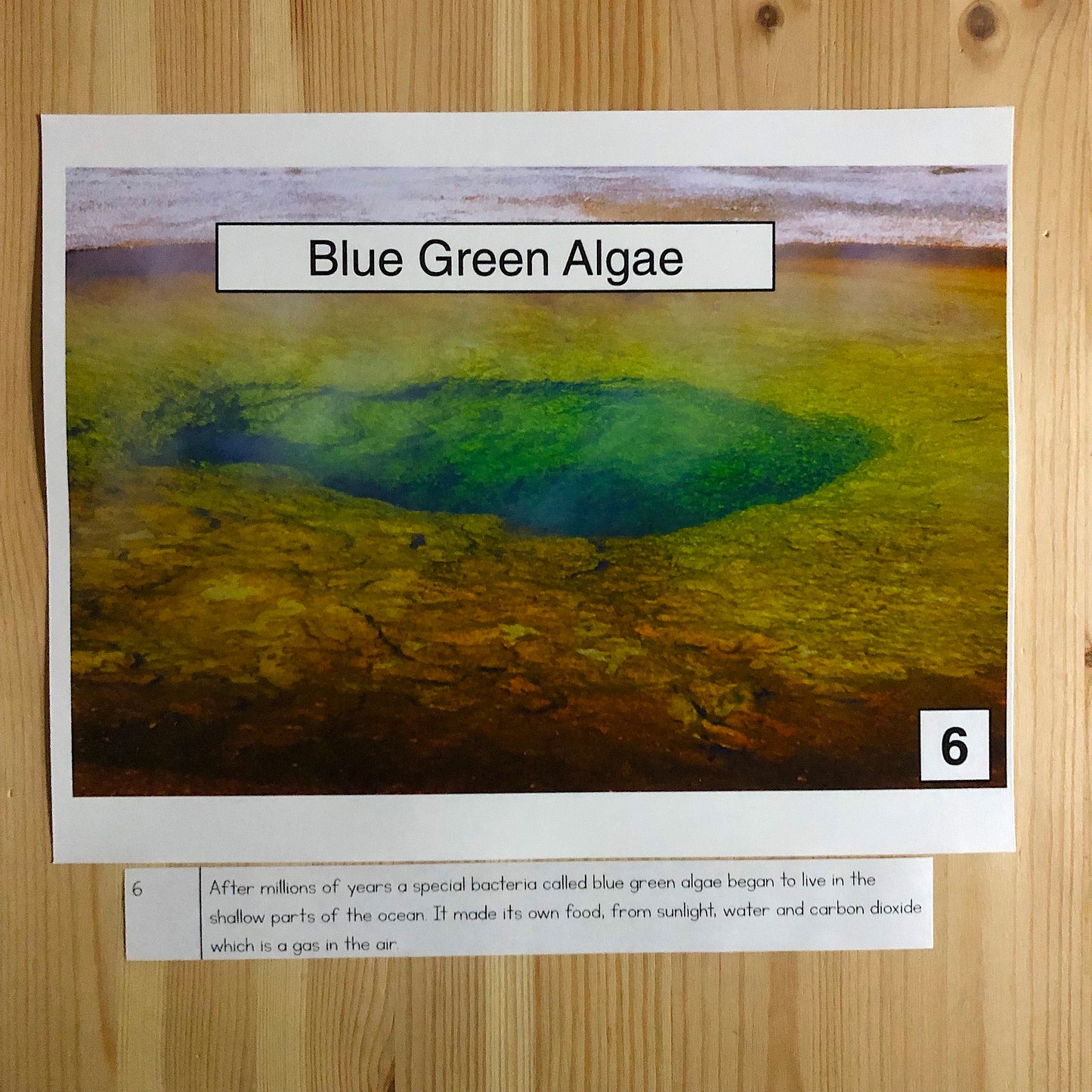 Montessori Second Great Story Script and Powerpoint (cosmic) - montessorikiwi