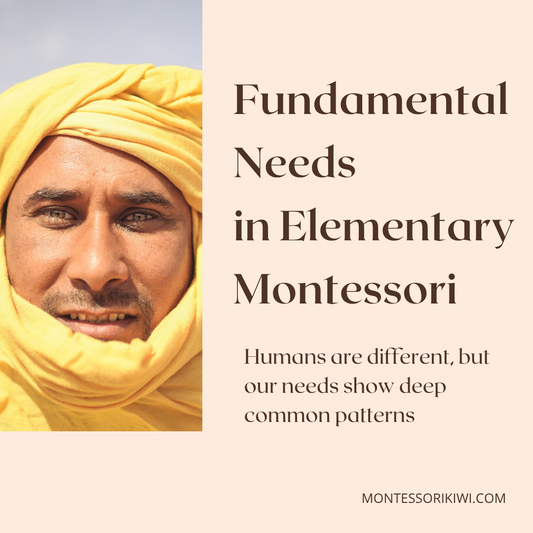 Fundamental Needs in Elementary Montessori