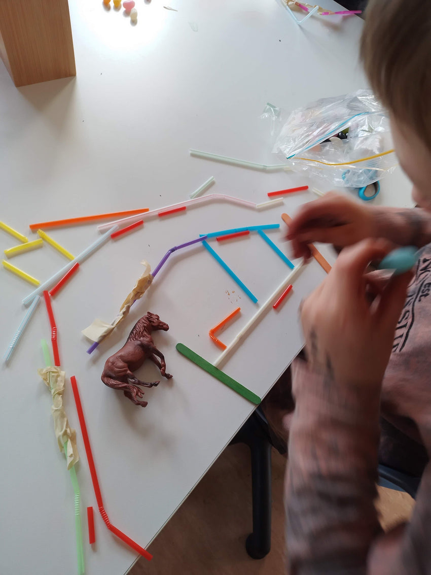 What I Learned From Opening My Own Montessori Elementary School — Montessori Kiwi blog