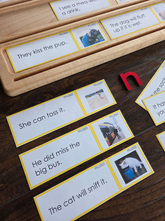 Montessori and the Science of Reading: Can They Work Together?