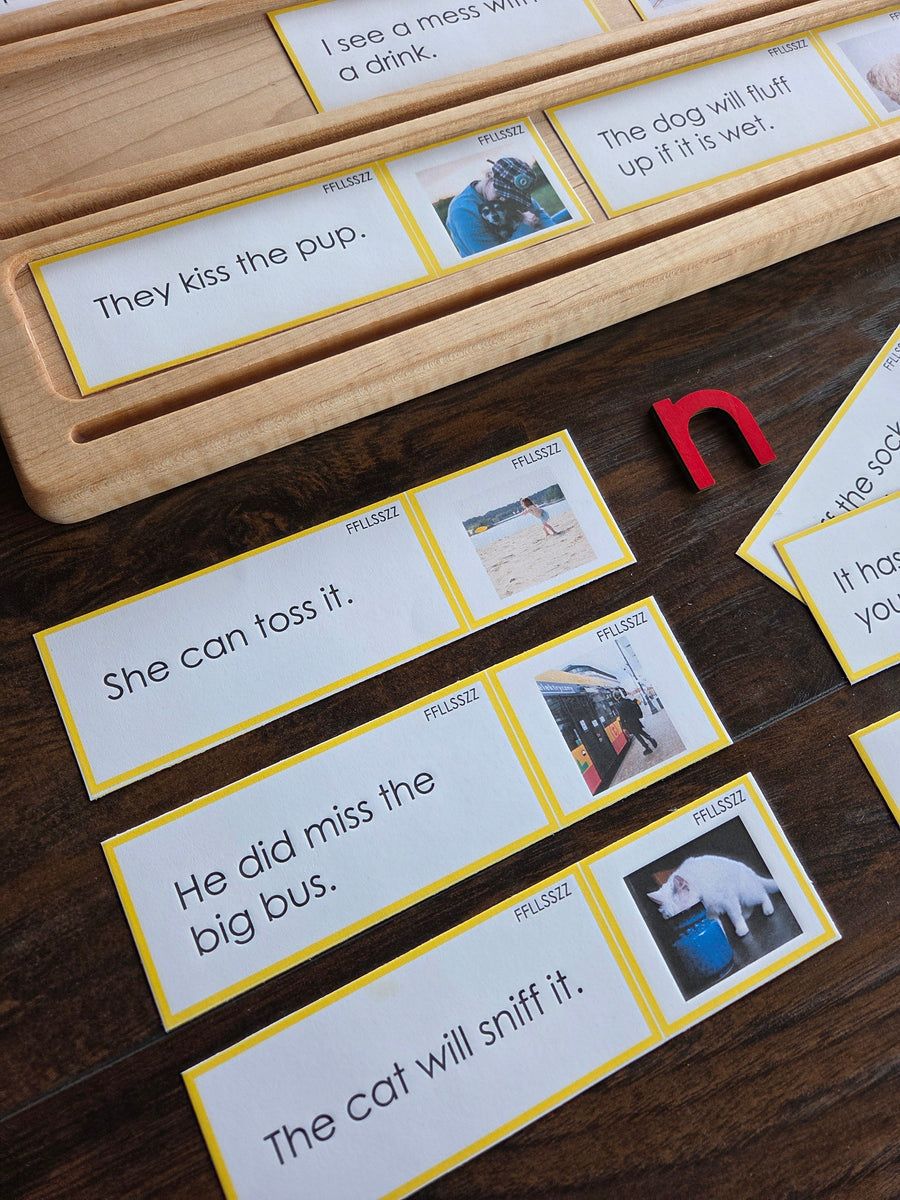 Montessori and the Science of Reading: Can They Work Together?