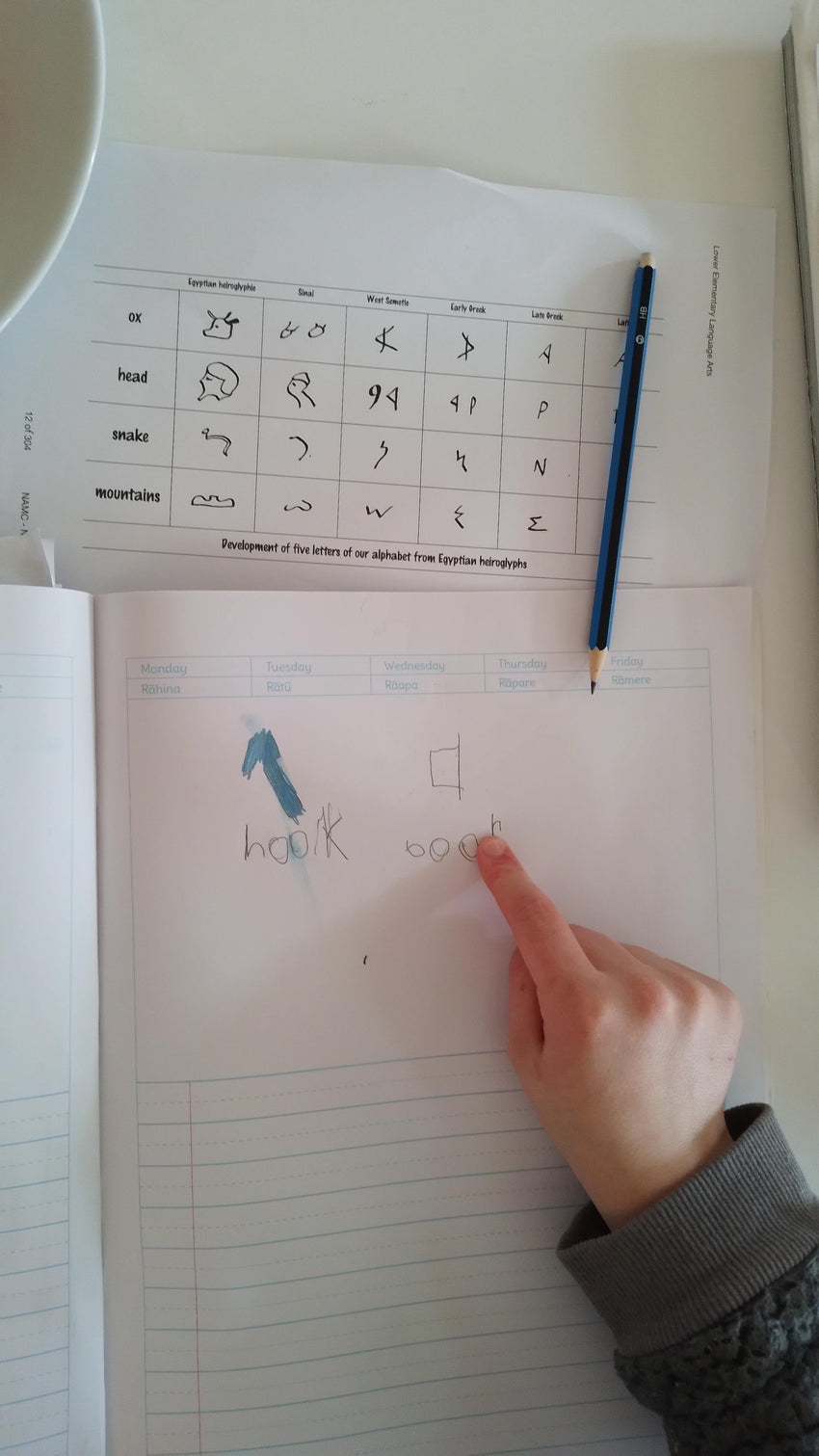 Teaching the Fourth Great Story: Communication in Signs — Montessori Kiwi blog