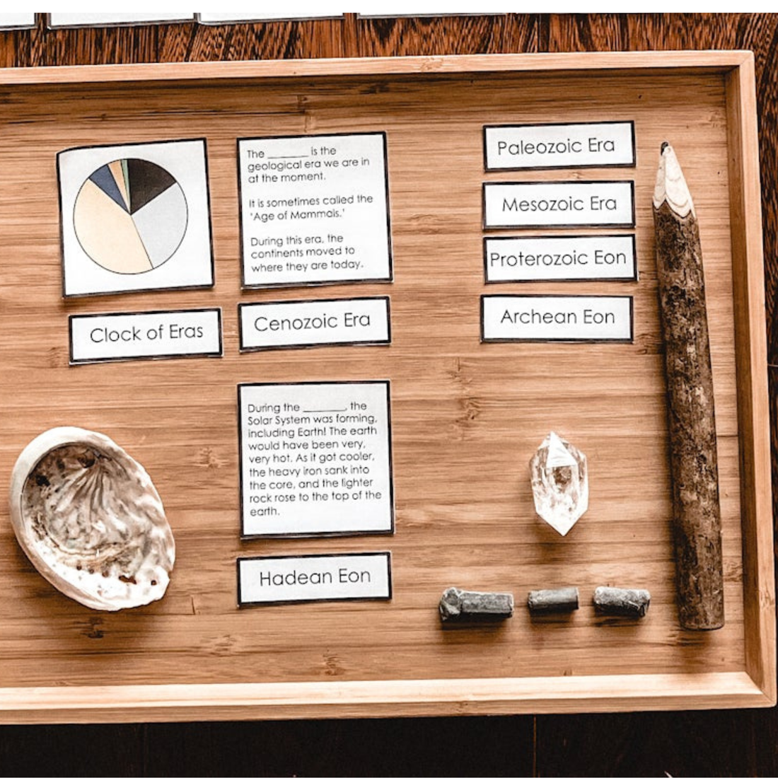 How to Use Montessori 3-Part Cards in the Elementary Classroom
