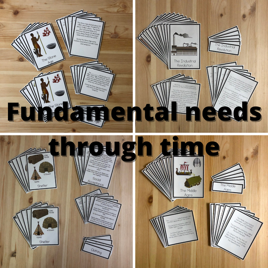 Fundamental needs through time