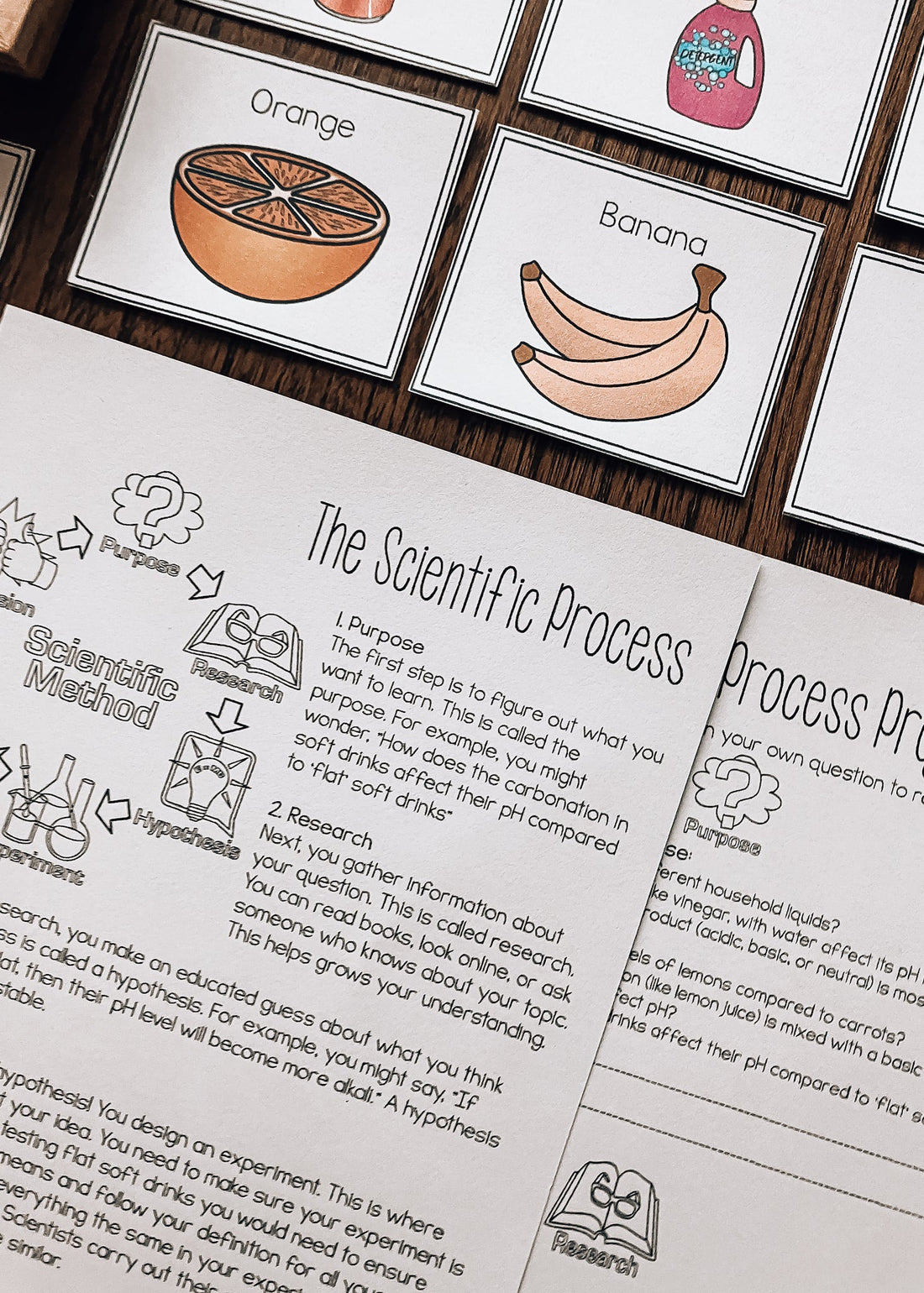 Acids and Bases Introduction Activities and Teaching Sequence for Montessori Classrooms