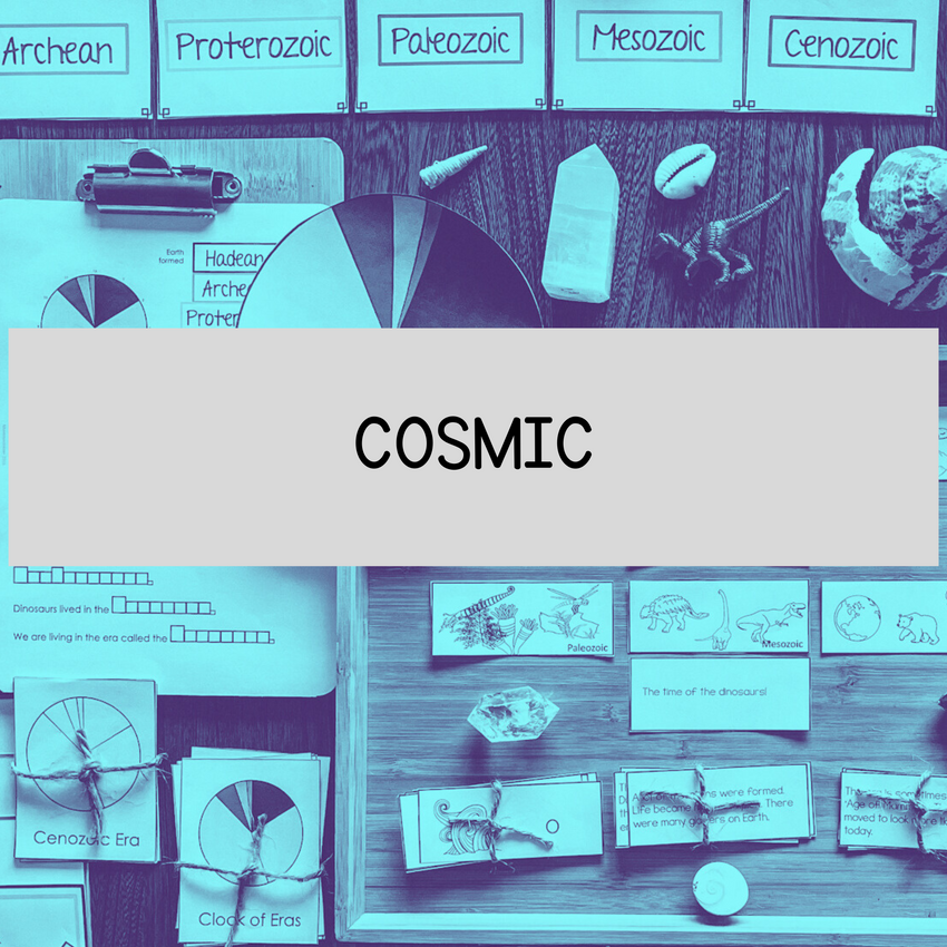 Montessori Cosmic Education resource examples