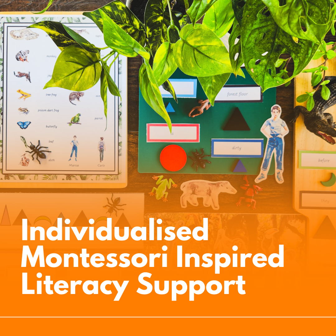 Individualised Montessori Inspired Homeschool Literacy Support: 1 SCHOOL TERM 1 CHILD
