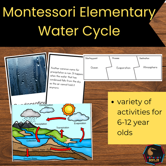 Montessori Water Cycle 4 Part Cards | Water Cycle Science Printable