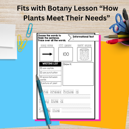 Montessori Plant Needs Research Pack (Ages 7–11) – Guided Writing Frames for Independent Science Learning