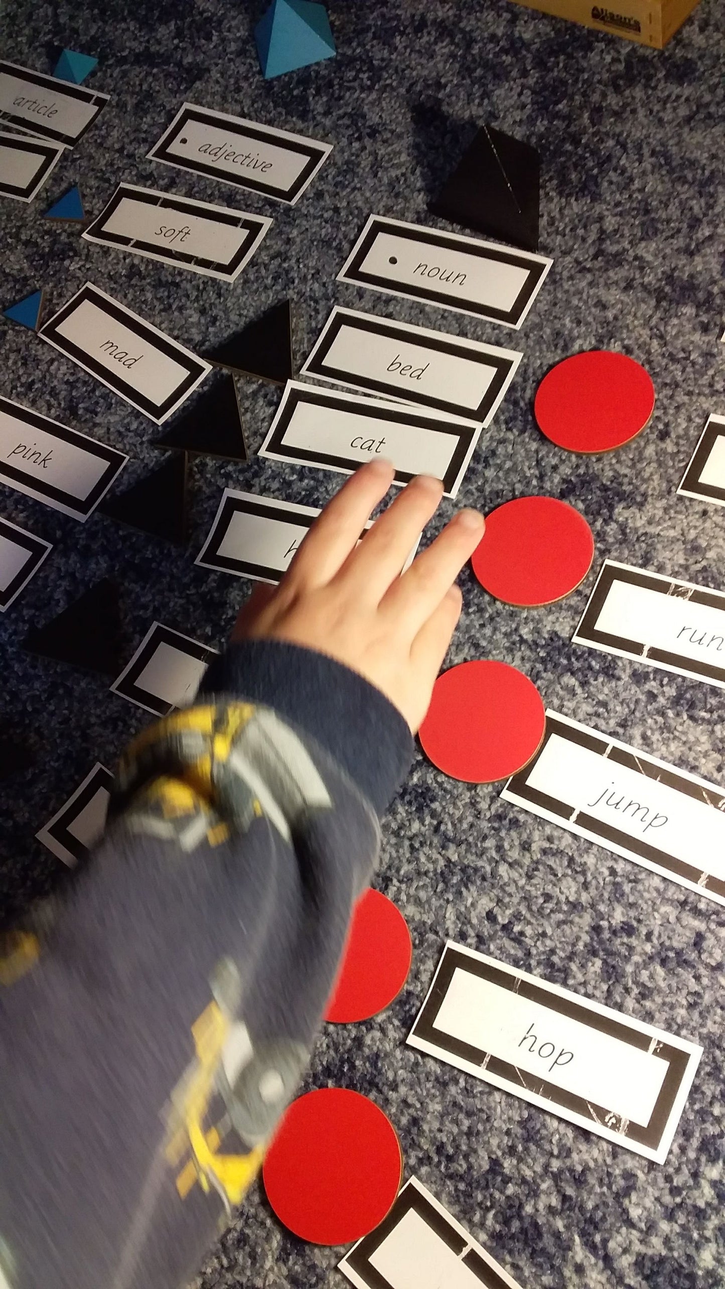 Montessori Phonetic Grammar - Proficiency Sentences Set 1  (literacy) subscription - montessorikiwi