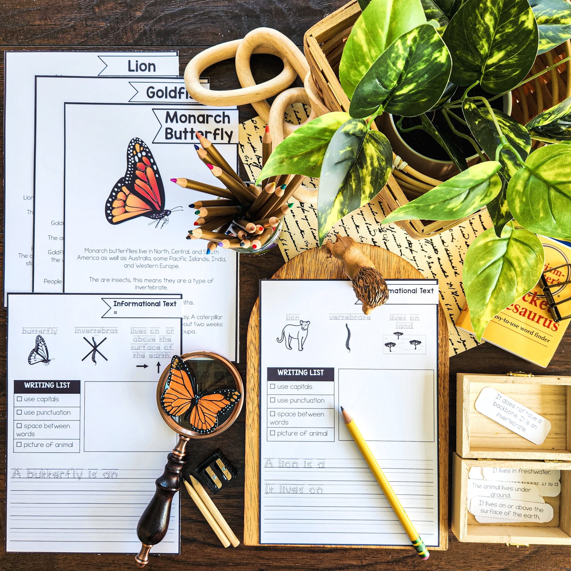 Beginner Animal Research Templates - montessorikiwi