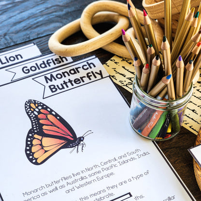 Animal Research Templates for Kids | Montessori Inspired Research Printable