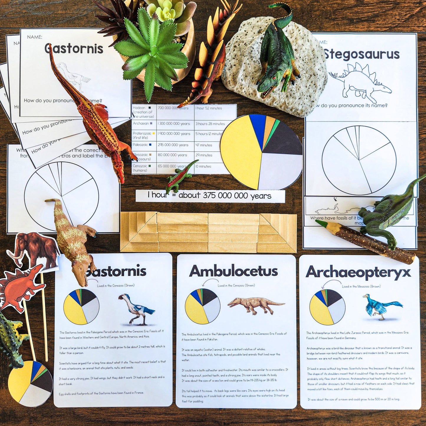 Montessori Geological Time & Timeline of Life Bundle | Clock of Eras, Fossils & Prehistoric Life