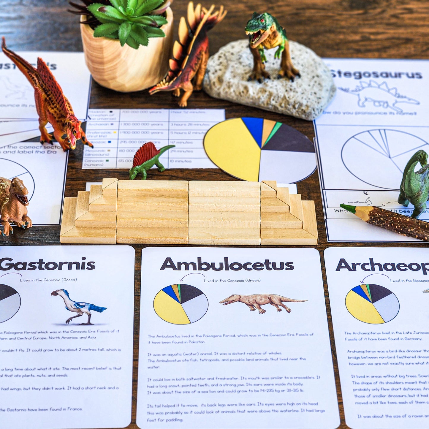 Montessori Store Bundle - montessorikiwi