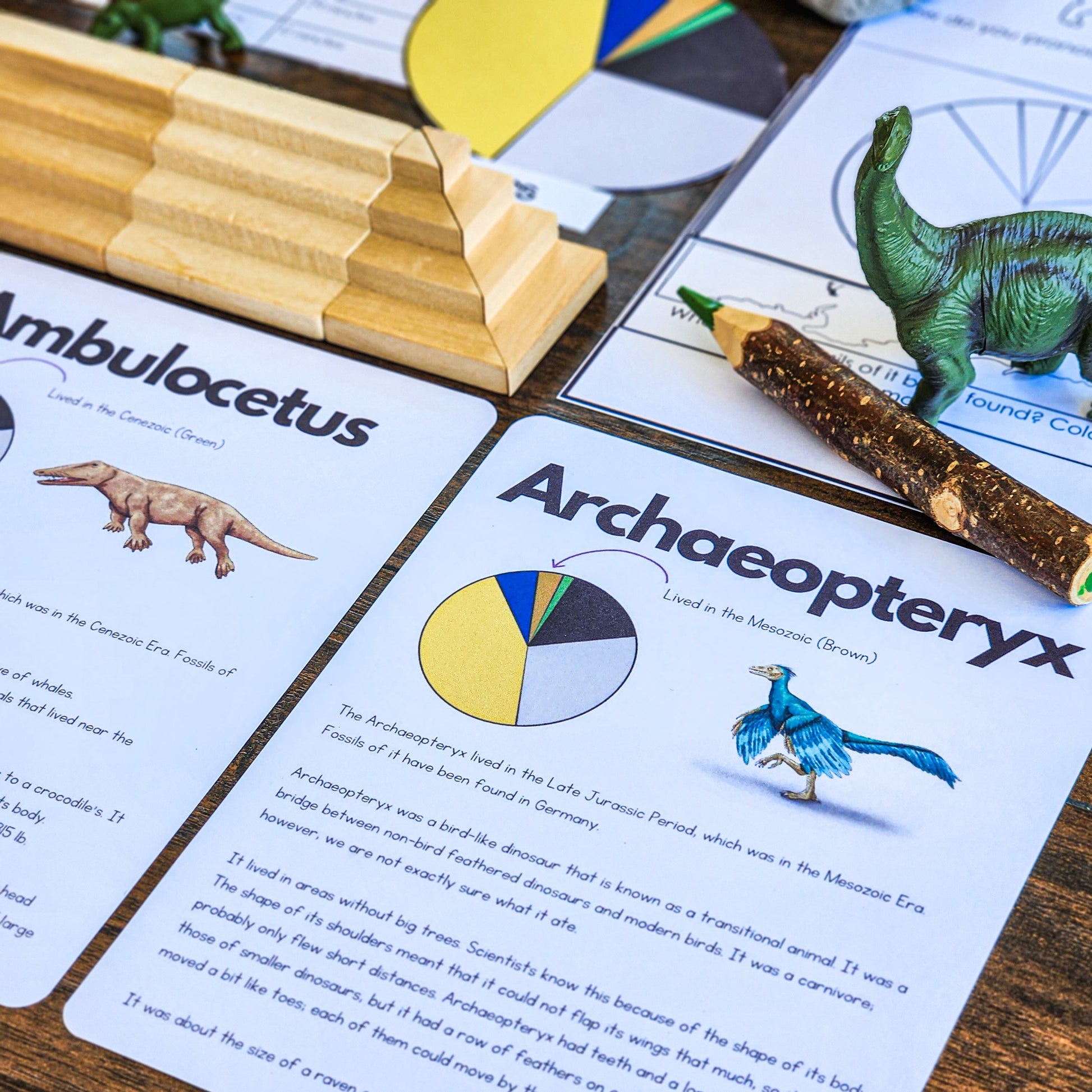 Early life research for Montessori (cosmic) - subscription - montessorikiwi