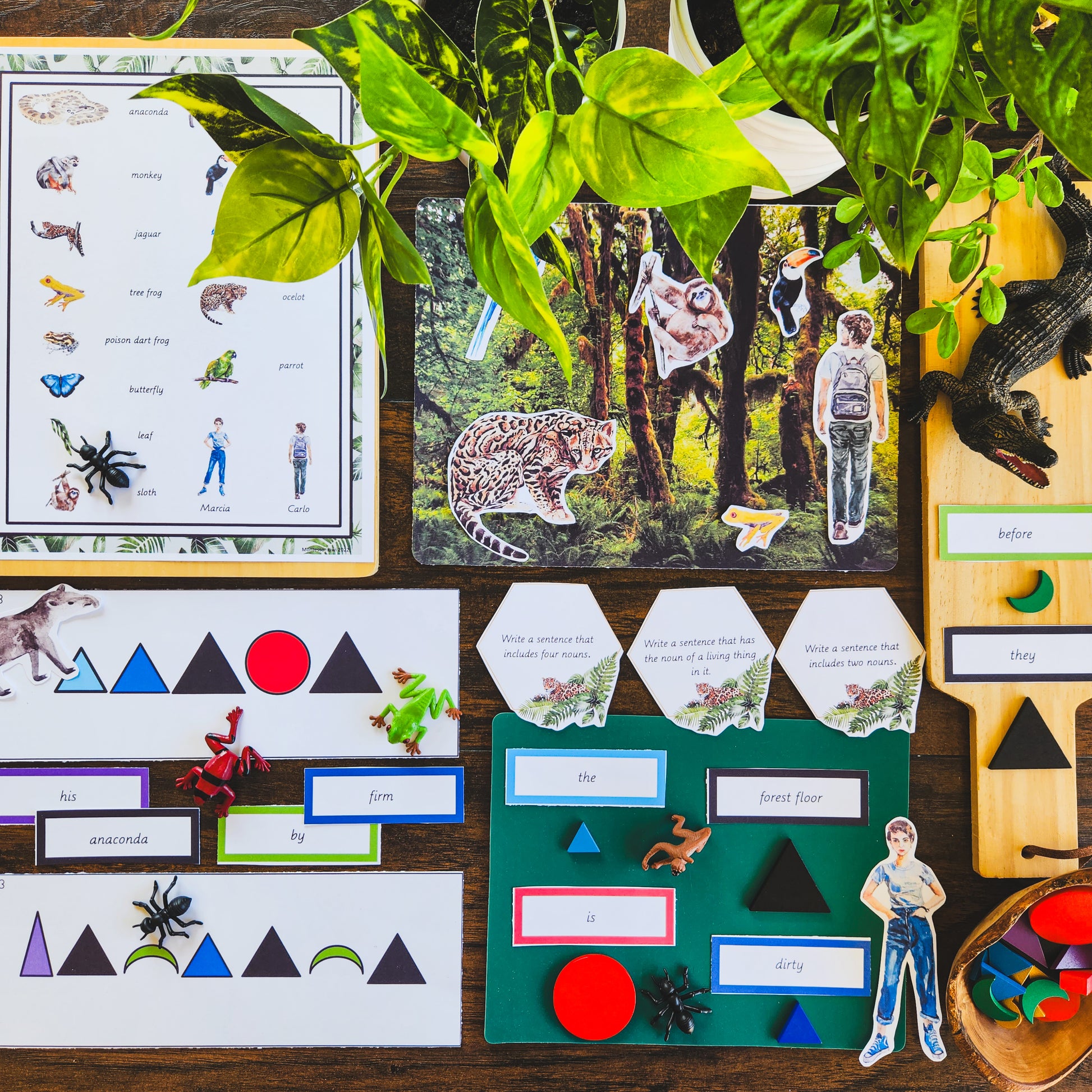 Montessori Miniature Environment: Rainforest  (literacy) - montessorikiwi