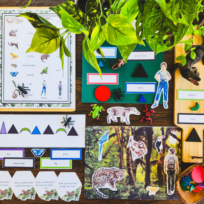 Montessori Miniature Environment: Rainforest  (literacy) - montessorikiwi