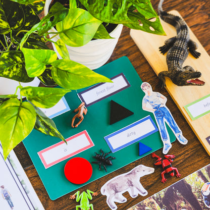Montessori Miniature Environment: Rainforest  (literacy) - montessorikiwi