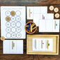 Montessori before and after to 11 - 20 (math) - montessorikiwi